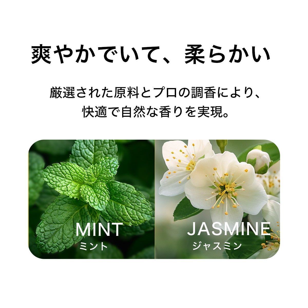 PETKIT N50 2.0 消臭キューブ 3個 正規品 中国語パッケージ P9223