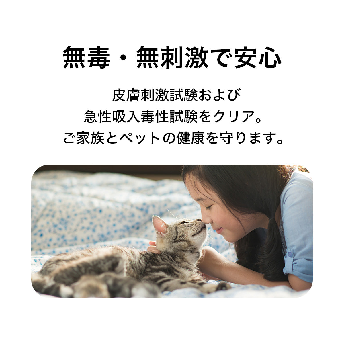 PETKIT N50 2.0 消臭キューブ 3個 正規品 中国語パッケージ P9223